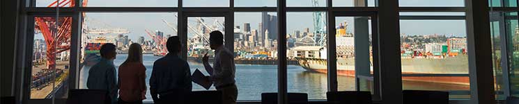 Các thành viên nhóm FedEx Trade Networks đang nhìn một cảng biển từ văn phòng. 